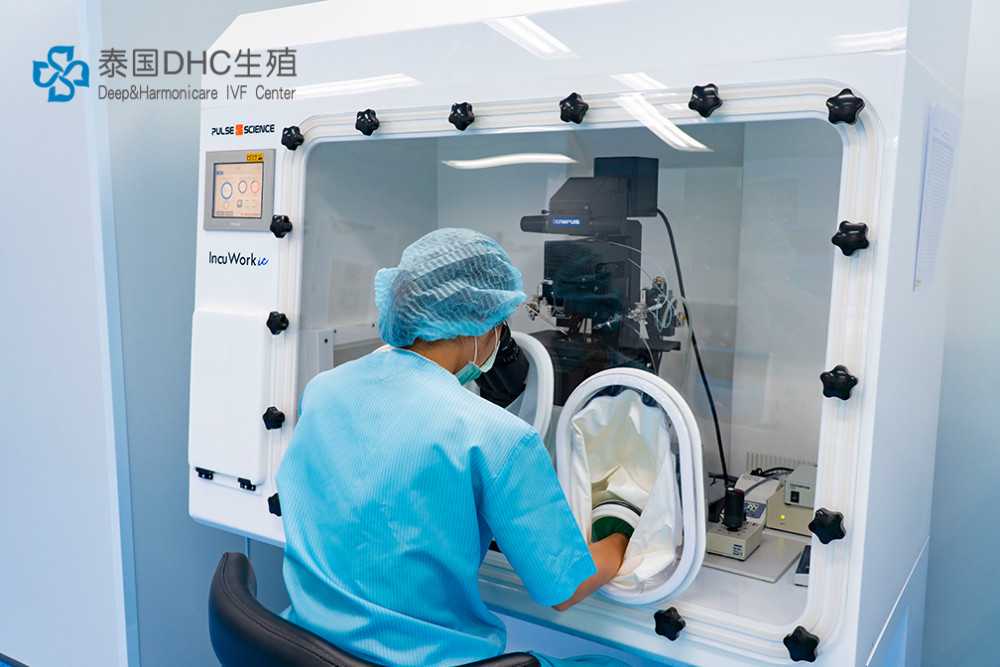 长沙卵巢早衰女性如何选择生育方案？全面解析