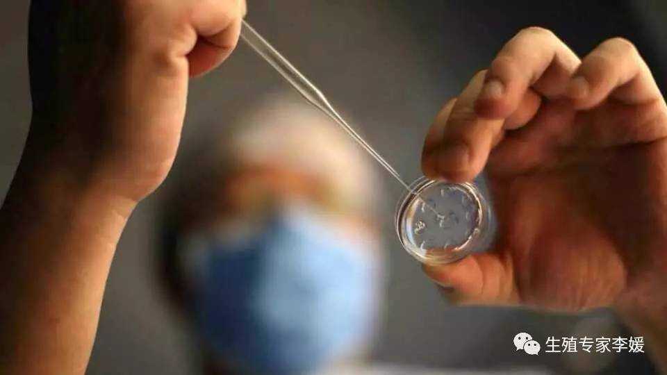 长沙供卵试管婴儿成功率与年龄的关系数据解读